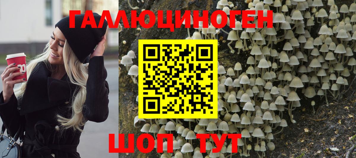 Псилоцибиновые грибы Cubensis  Вход с VPN  Галлюциногенные грибы мицелий  Ставрополь 