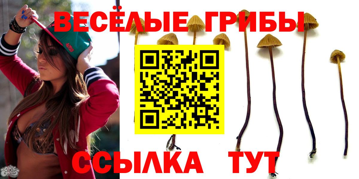 Галлюциногенные грибы MAGIC MUSHROOMS Ставрополь